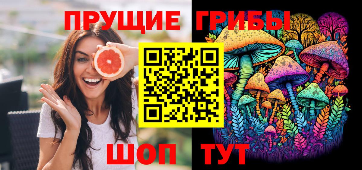 Галлюциногенные грибы Psilocybe  Вход с VPN  Галлюциногенные грибы мицелий  Раменское 